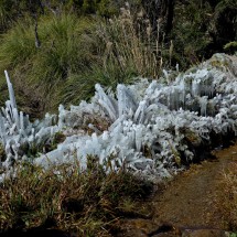 Ice in Costa Rica, at apprximately 3500 meters sea-level